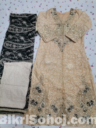 Pakistani Gorgeous party dress